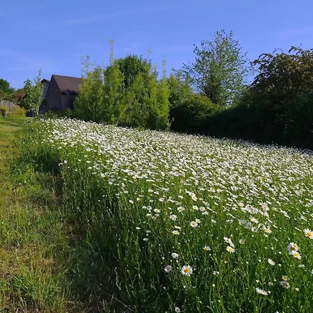 Apartment Tiny House Sundancer Neu-Moresnet